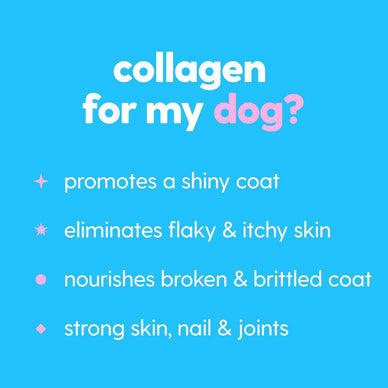 Unlock Your Pet's Radiant Health and Happiness!