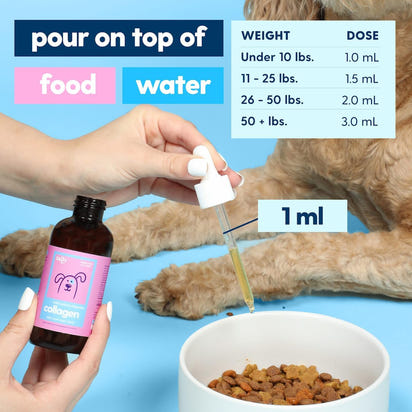 Pawly™ | Because every tail deserves to wag.