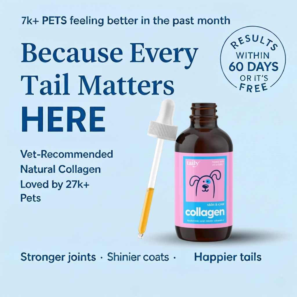 Pawly™ | Because every tail deserves to wag.