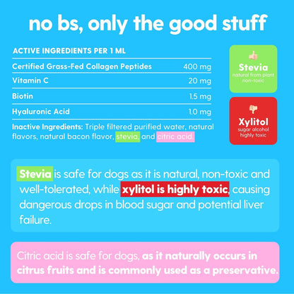 Pawly™ | Health that wags back.