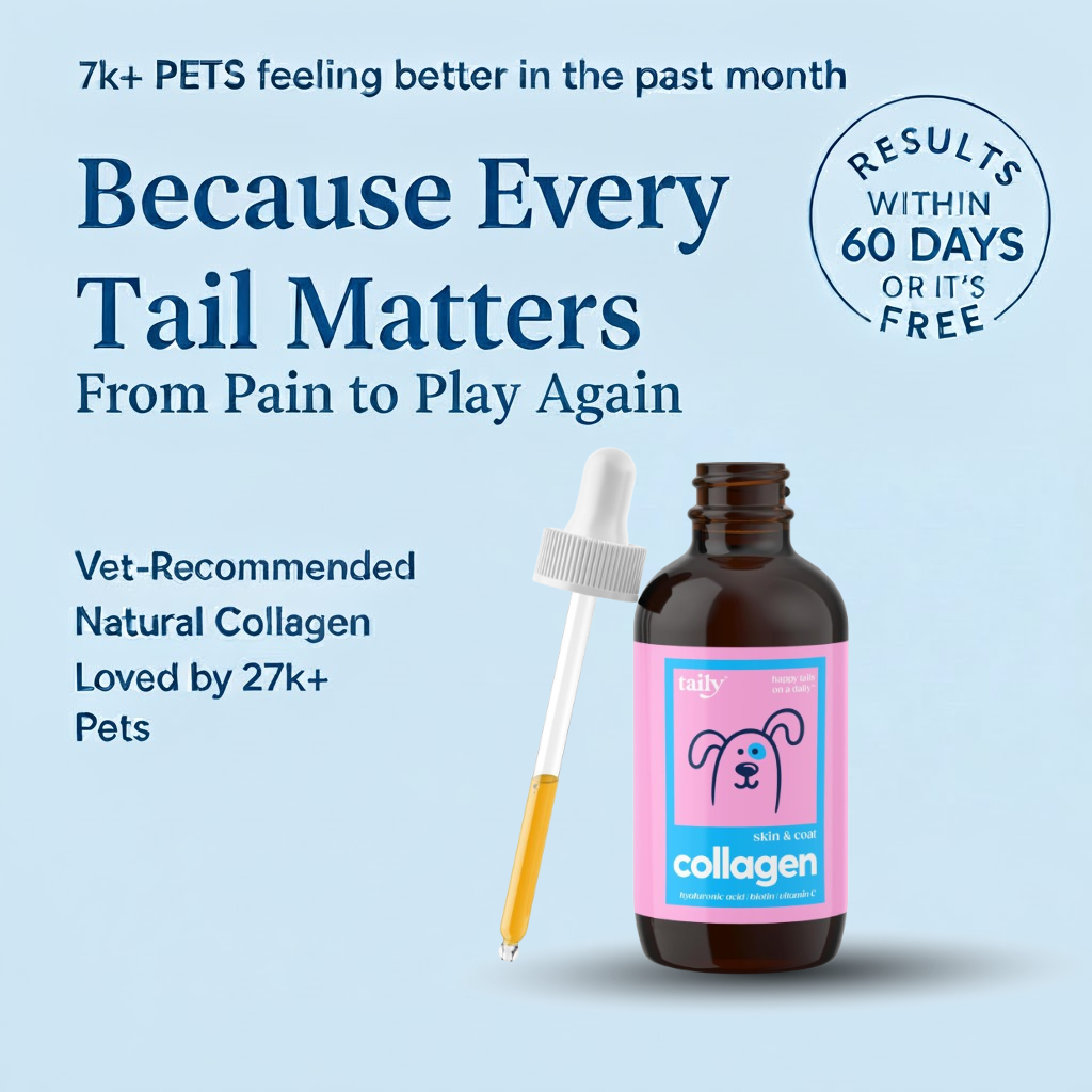 Pawly™ | Health that wags back.