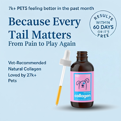 Pawly™ | Health that wags back.