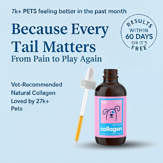 Pawly™ | Health that wags back.