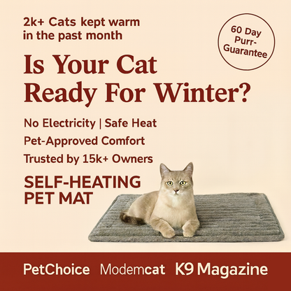 Comfurrt™ | Soft. Safe. Simply Warm.